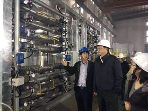 青海大美煤业烯烃厂mto装置烟气除尘设备预验收