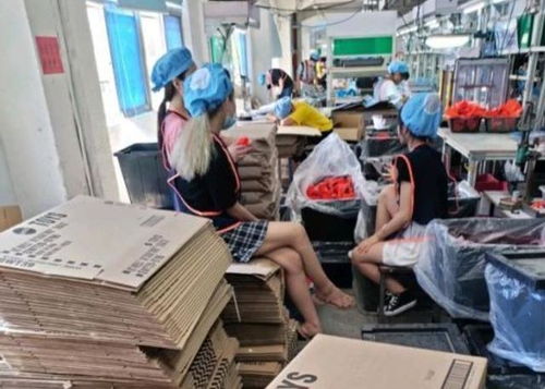 深圳网红厂,每年招大量暑假工,网友 老板真有良心啊