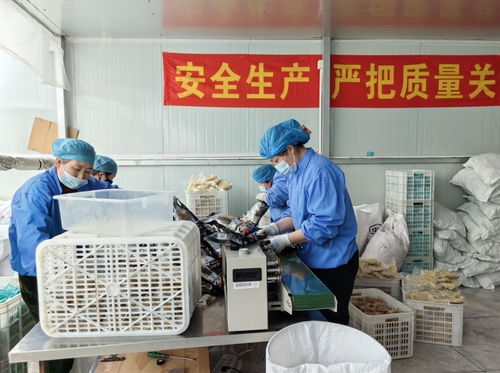 春风送岗促就业 精准服务助发展凤凰网吉林 凤凰网