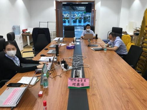 为川货走出去引路 第二期四川 广东 网络招商会在线举行