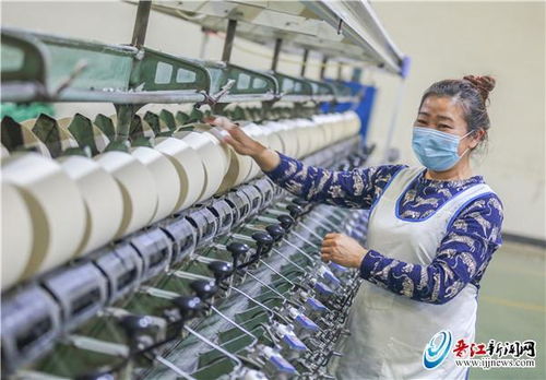 凤竹纺织2020年净利同比增长14.16