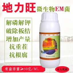 【有机红心橙溃疡病就用靓果安速效药】- 
