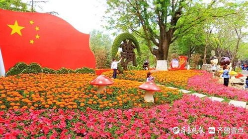 雨后赏新绿,济南植物园草青花红游客们玩得爽