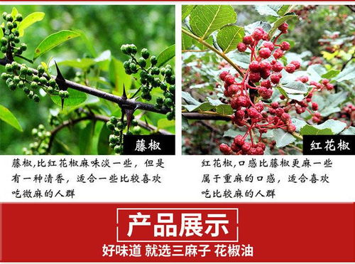四川正宗藤椒油红花椒油青花椒油麻油凉拌米线调料无添加火锅调味