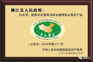 鲁比葡萄 ,成为国家地理标志保护产品