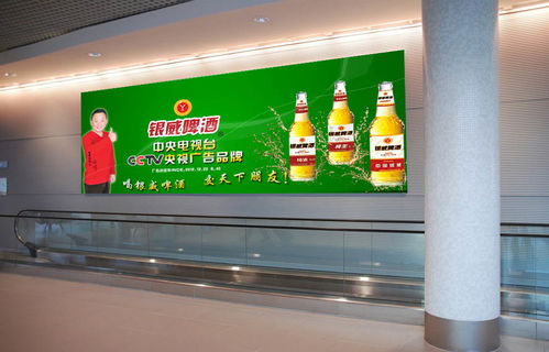 银威红纯生青瓶 银威啤酒 银威红纯生青瓶价格