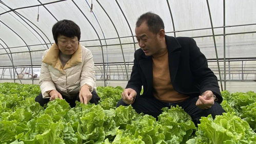 多措保障冬季市民菜篮子