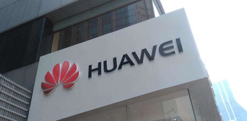 卖板蓝根成泰州首富，故宫式工厂下的分红争议