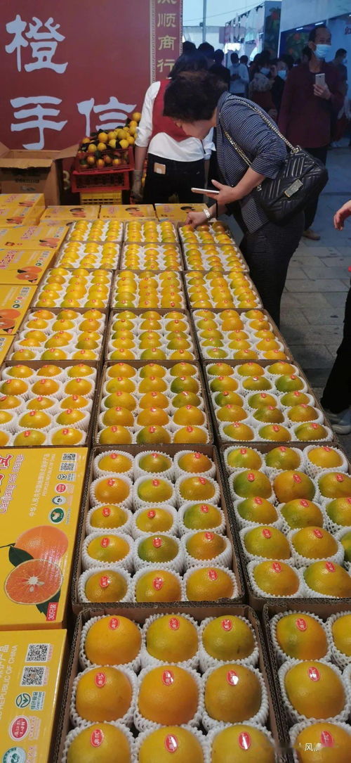 山呼海应 携手小康 融水特色扶贫产品热销廉江红橙节，共谱乡村振兴新篇章