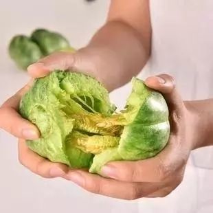 红青在线 从巴彦淖尔带走的一抹生态亮色