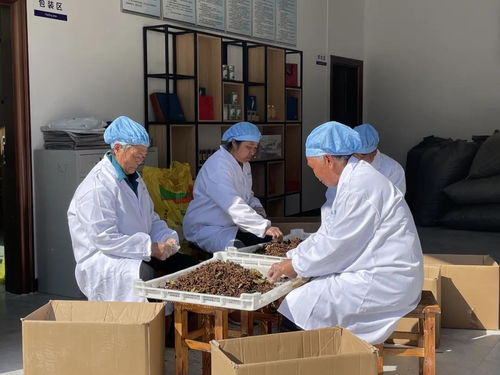 观念一转天地宽——西畴县瓦厂村的红青在线新篇章